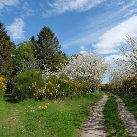 Lower Bruntlands Fochabers Eksteriør billede