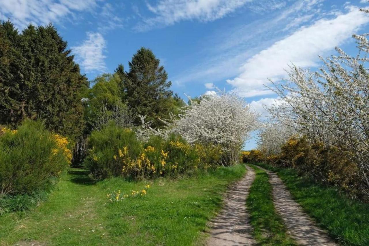 Lower Bruntlands Fochabers Eksteriør billede