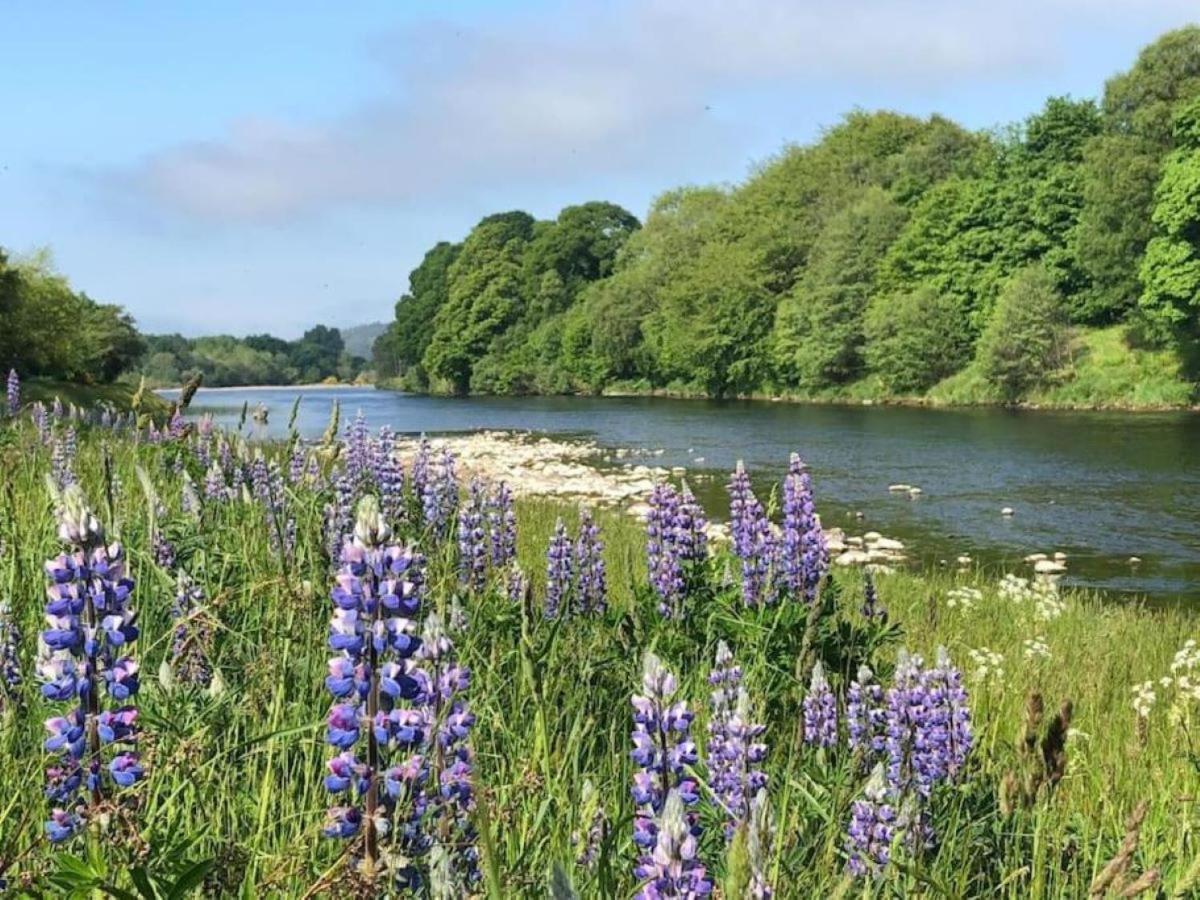 Lower Bruntlands Fochabers Eksteriør billede